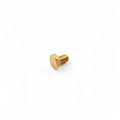 TE SCREW M6 X 10MM