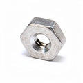 BUNN S/S HEX NUT
