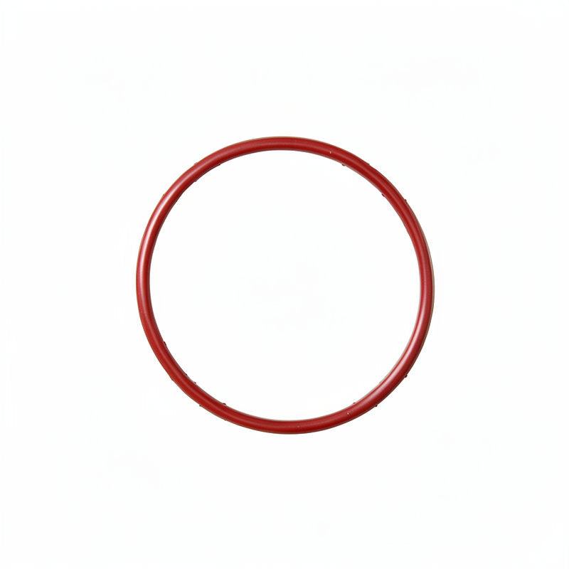 OR GASKET 4262