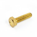 TE BRASS SCREW M6 X 25MM