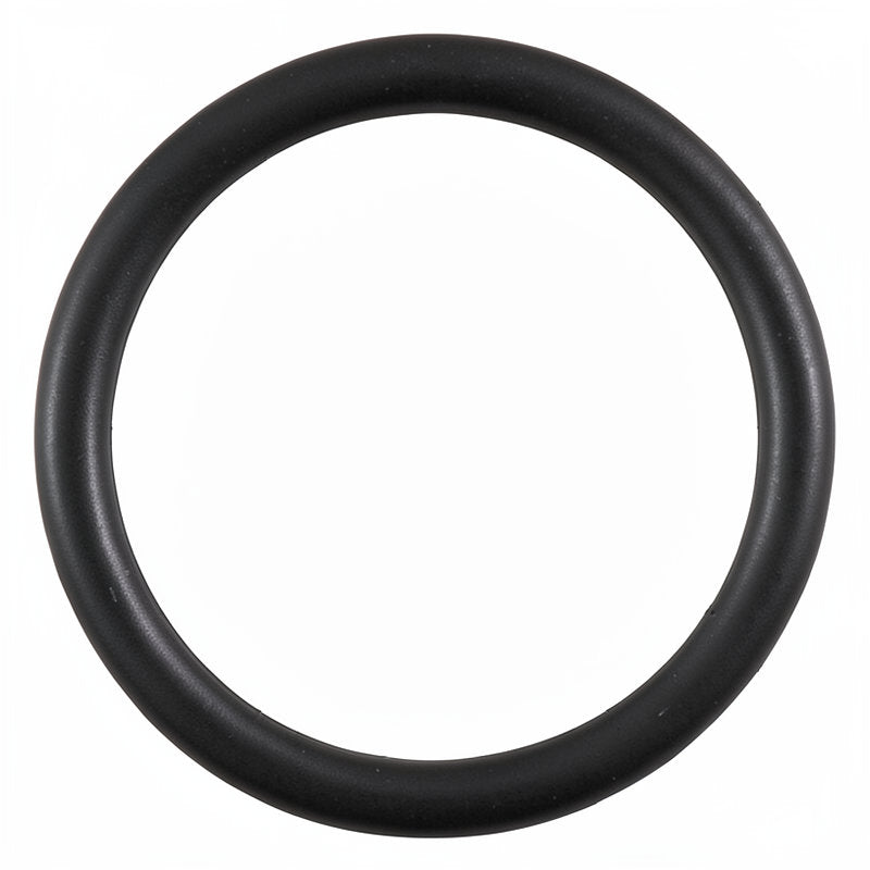 O RING 23.91 X 20.35 X 1.78MM - SILICONE