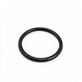 ELEKTRA POD SHOWER FILTER O RING 3106
