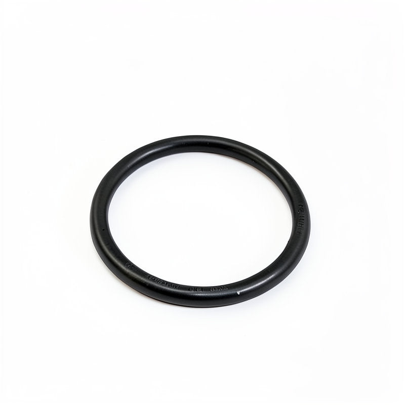 ELEKTRA POD SHOWER FILTER O RING 3106