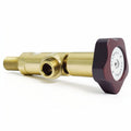ELEKTRA 2 GRP STEAM VALVE