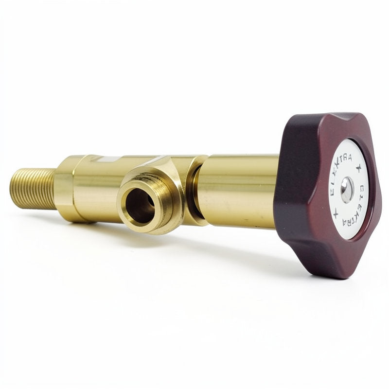 ELEKTRA 2 GRP STEAM VALVE