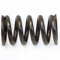 VA VALVE SPRING