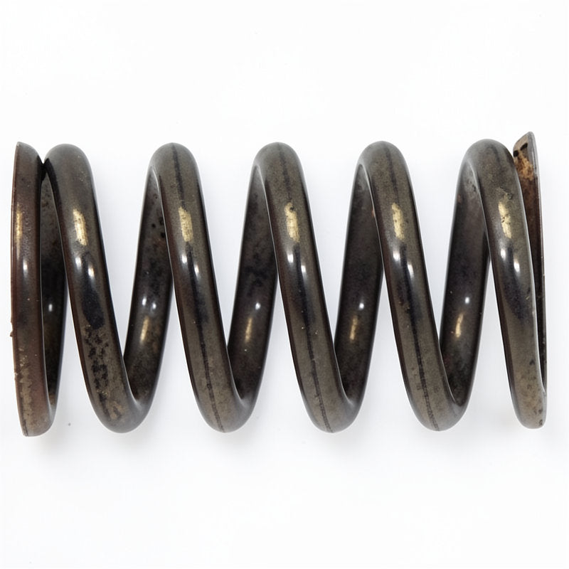 VA VALVE SPRING