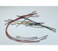 Rancilio Main Wiring Silvia