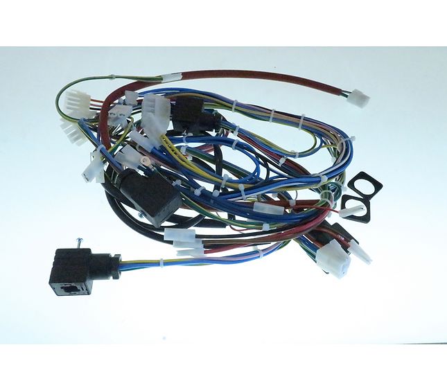 Rancilio Cable Harness 2-group Class 7 Usb Ssr