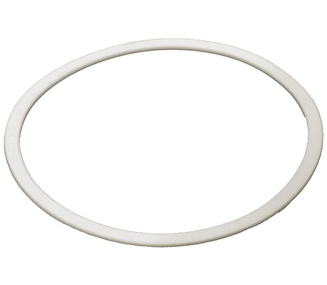 Rancilio Gasket For Boiler