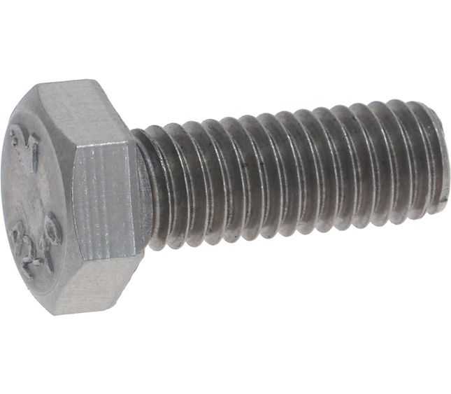 Rancilio Screw M 8X22