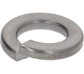 Rancilio Elastic Washer D 8