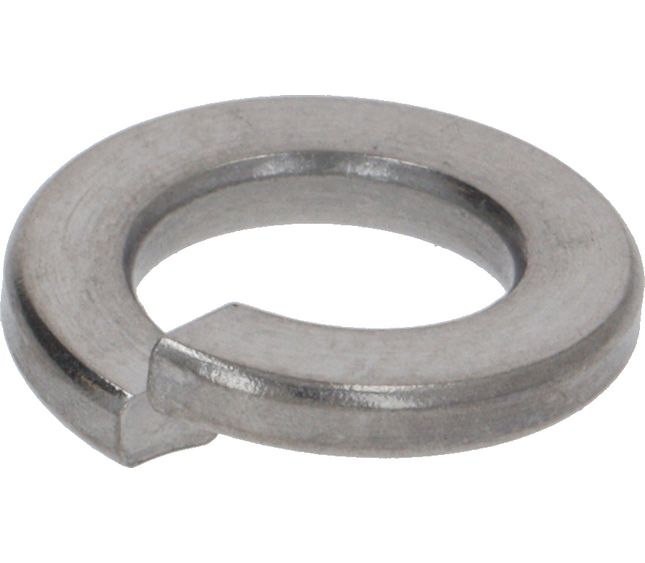 Rancilio Elastic Washer D 8