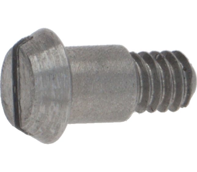 Rancilio Blocking Gasket Screw
