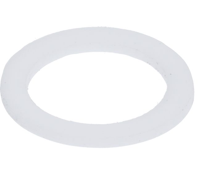 Astoria PTFE Gasket 25X18.2X1.5
