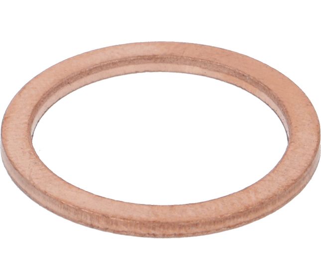 Astoria Flat Gasket Copper 3/8 Ø 21.8X17.3X1.5 MM