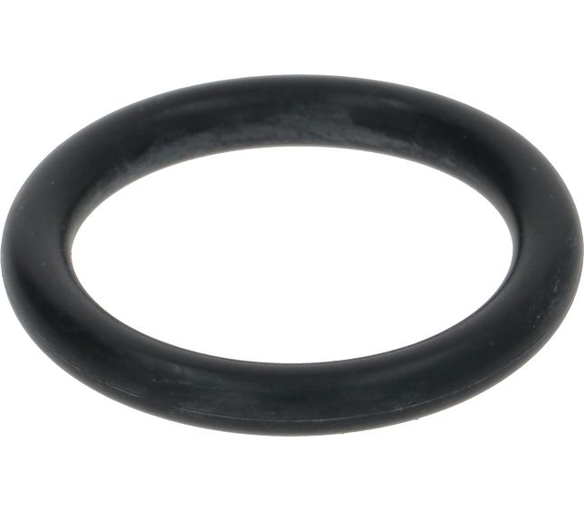 Astoria Gasket Nbr Ø 25X4 MM