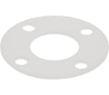Astoria PTFE Gasket Virgin For Group 89X4