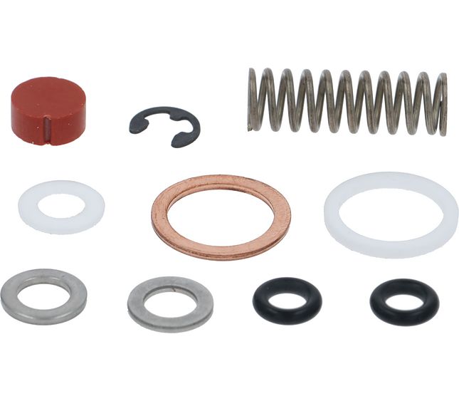 Sanremo Kit Ricambi Tap Valve Steam