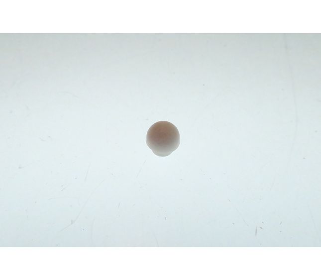 Wega Valve Rubber Mushroom