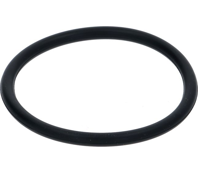 Wega Gasket Nbr