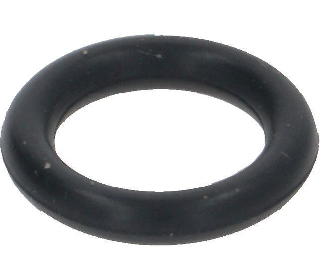 Wega Or-gasket R6 Nbr