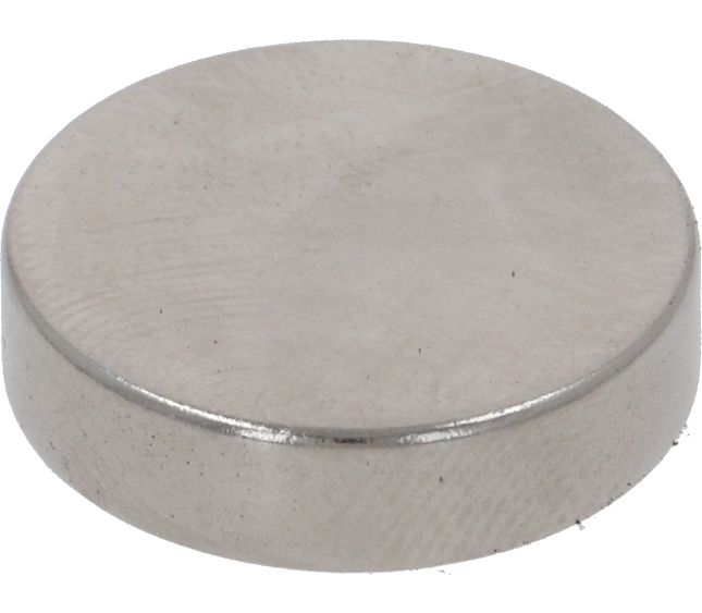 Cimbali / Faema Magnet Ø 20X5 MM