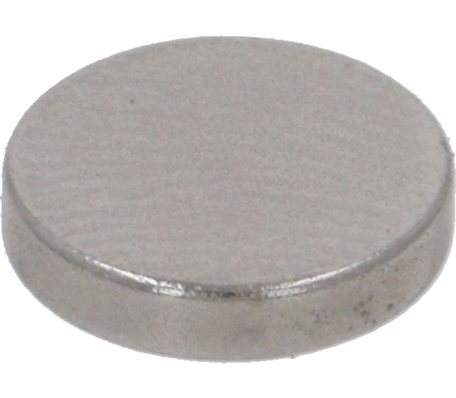 Cimbali Magnet Ø 10X2 MM