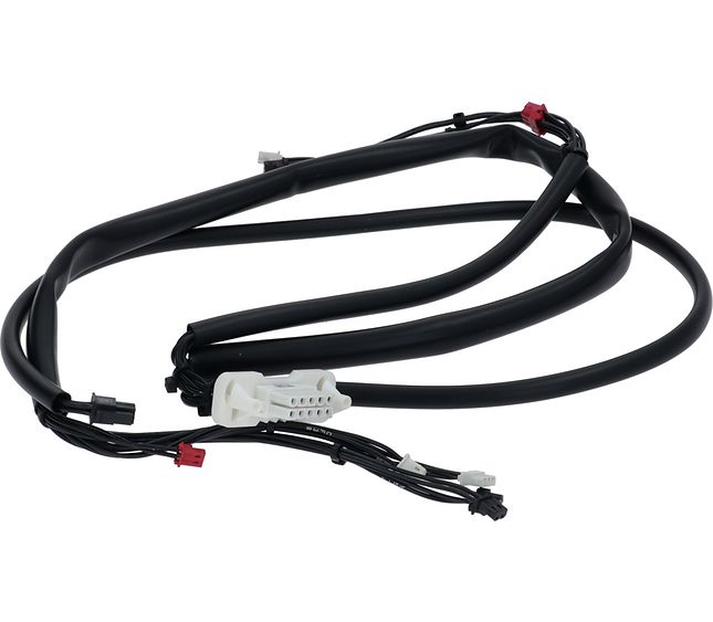 Cimbali Wiring Missing Coffee