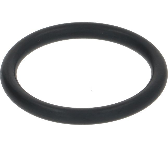 Sanremo Or Ø20.62x2.62 EPDM