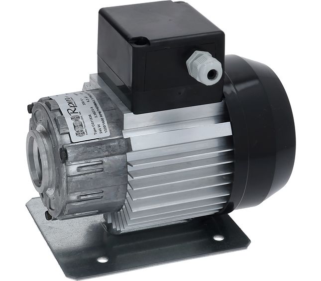 Sanremo Electric Motor245w 230V