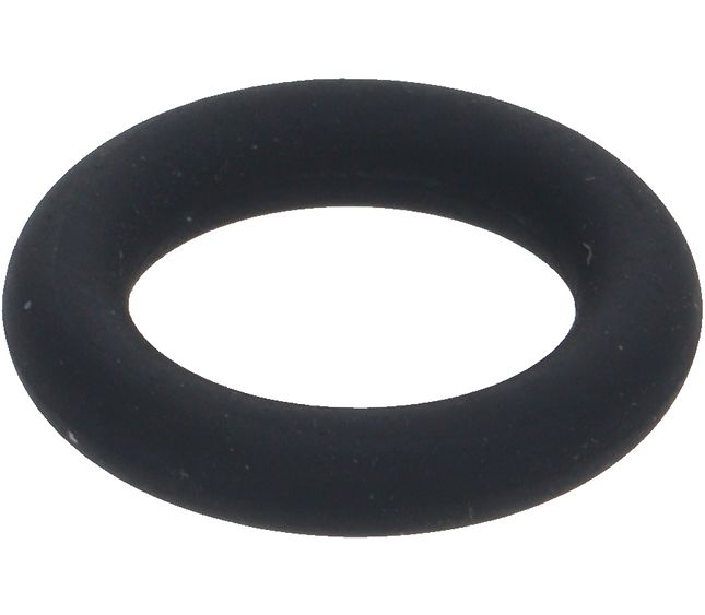 Sanremo Or Ø9.13x2.62 Viton
