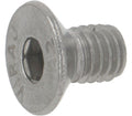 Sanremo Screw Tspei M6x10 A2 Uni 5933