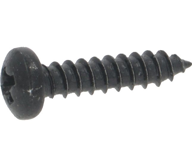 Sanremo Screw 2.9X13 Din7981