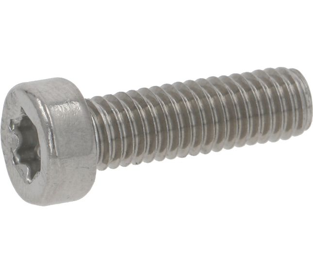 Sanremo Screw M6x20 Iso 145080