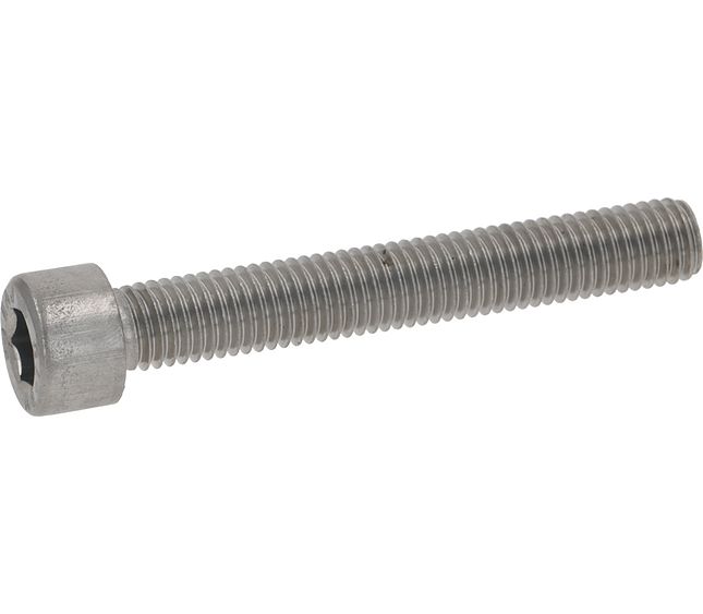 Sanremo Screw M10x70 ST /steel