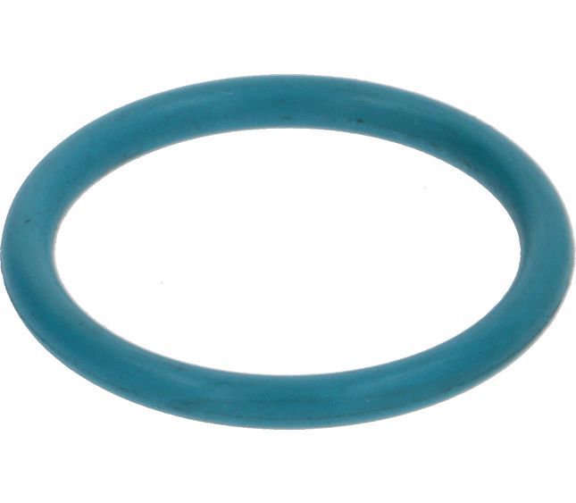 Sanremo Or Ø15.6x1.78 Viton Nsf