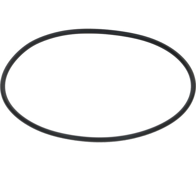 Sanremo Or Ø94.92x2.62 Viton