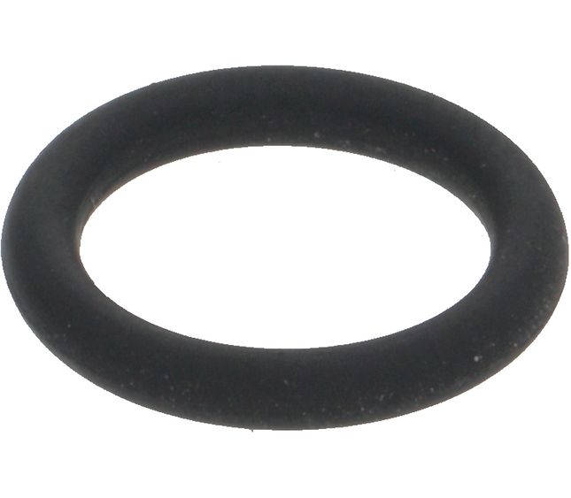 Sanremo Or Ø10.77x2.62 Viton Nsf