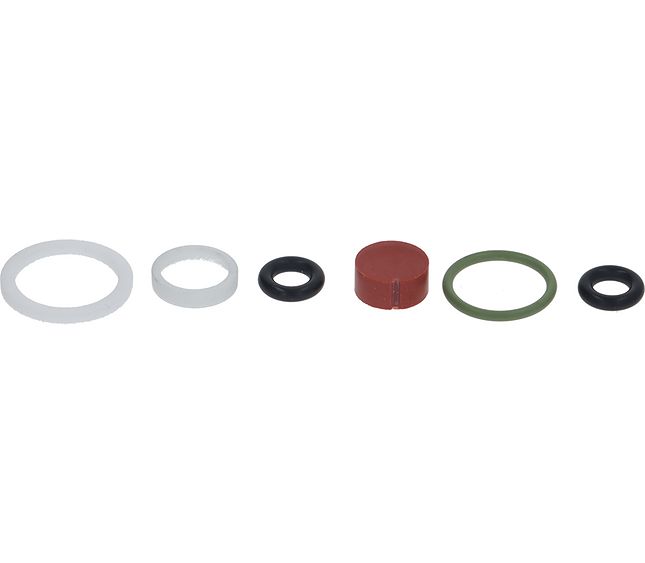 Sanremo Steam Lance/spout Maintenance Kit