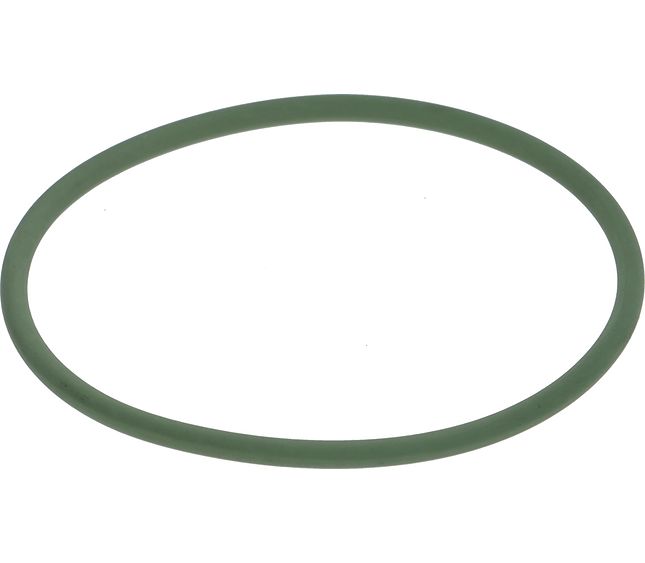 Faema Or 55.25X2.62 FKM Nsf