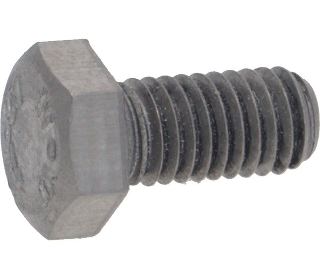Faema Screw TE M5x10 Uni5739 ST /steel