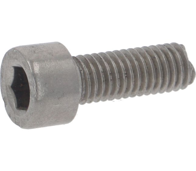 Faema Screw Tcei M5x14 Uni5931 ST /steel