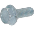 Faema Screw TE M6x16 With Rim
