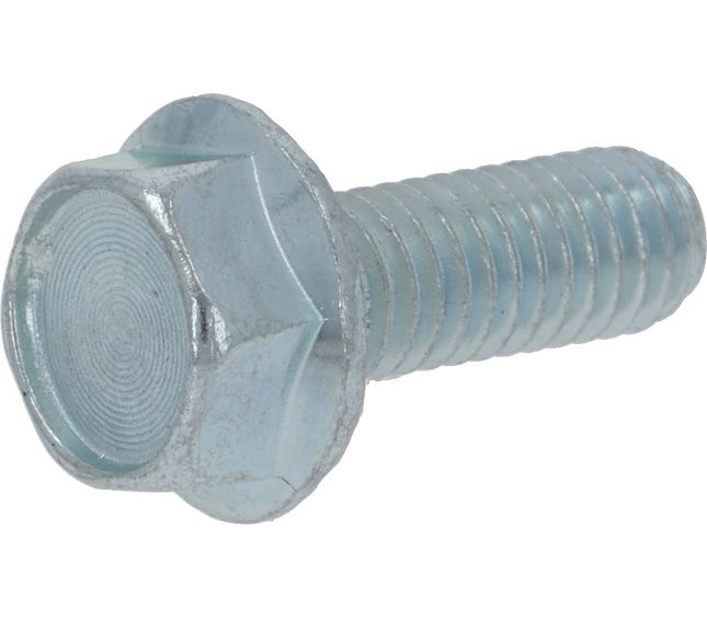 Faema Screw TE M6x16 With Rim