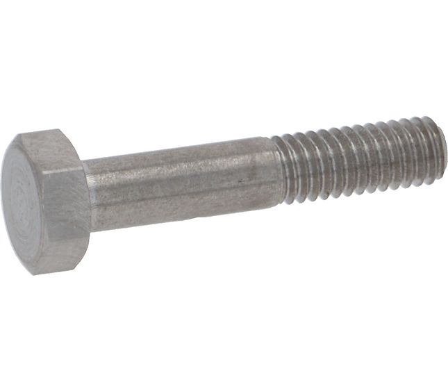 Faema Special Screw For Micro
