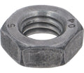Faema Nut Uni 5589 6S PG M8 Galvanised