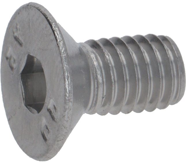 Victoria Arduino Screw ST /steel M6x12