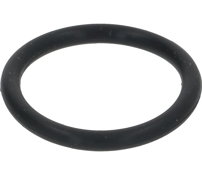 Victoria Arduino O-ring 20.29X2.62 Nbr