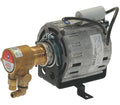 Quality Espresso Motor Complete of Pompante 230V